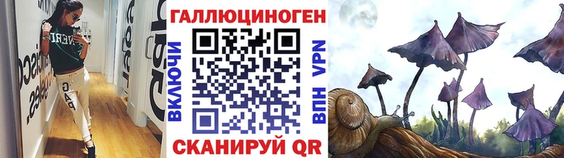 shop наркотические препараты гидра ТОР Кумертау Галлюциногенные грибы Cubensis